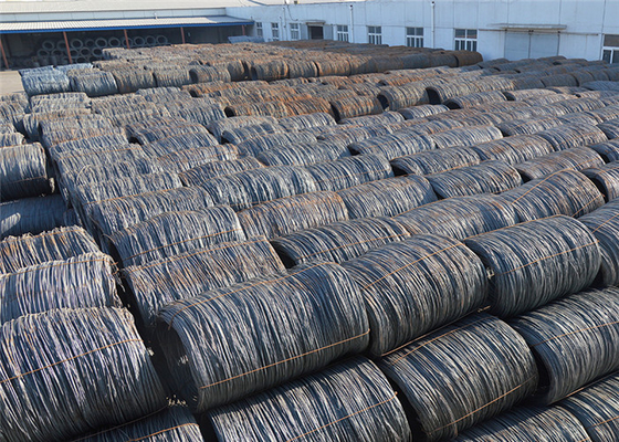 Low Temperature Hot Rolled Wire Rod AISI ASTM BS